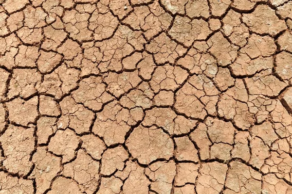 Dried Earth Dry Cracks Ground Dried Clay Surface Fuerteventura Canary — Stock Photo, Image