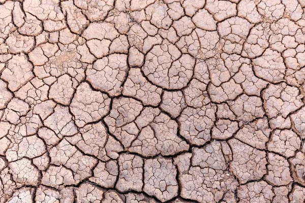 Terra Secca Crepe Secche Nel Terreno Superficie Argillosa Essiccata Fuerteventura — Foto Stock
