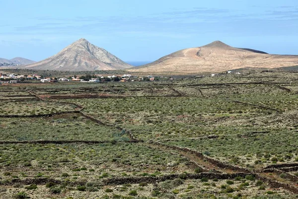 Landskap Vid Oliva Bakom Oliva Och Vulkaniska Bergen Fuerteventura Kanarieöarna — Stockfoto