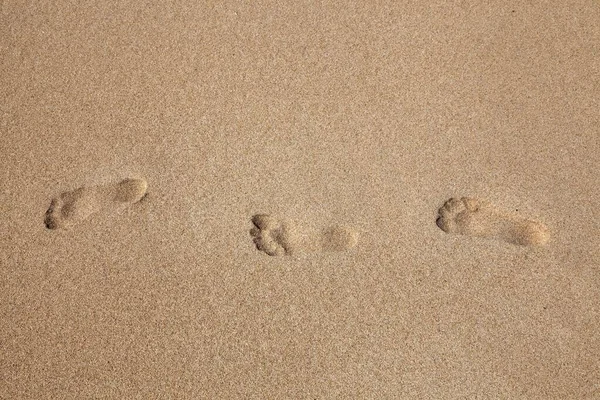 沙滩上的脚印 沙滩上的脚印 — 图库照片