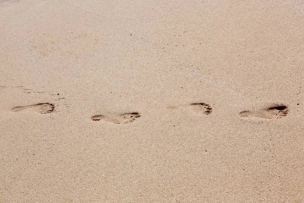 沙滩上的脚印 沙滩上的脚印 — 图库照片