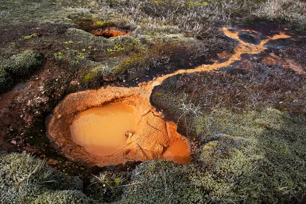 Varm Vår Mineralfyndigheter Högtemperaturområdet Haukadalur Valley Turistattraktioner Golden Circle Route — Stockfoto