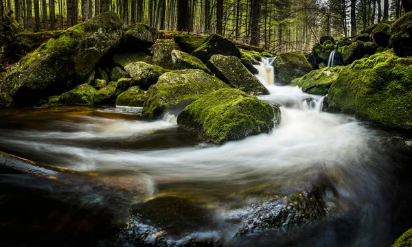 Mountain stream with mossy stones in mountain forest, Grafenau, Freyung-Grafenau, Bavarian Forest, Lower Bavaria, Germany, Europe