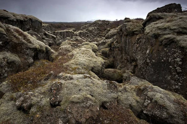 Moosbedeckter Lavagestein Bei Thingvellir Thingvellir National Park Golden Circle Island — Stockfoto