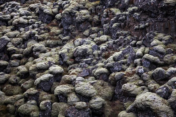 Βράχος Λάβας Καλυμμένος Βρύα Στο Thingvellir Thingvellir National Park Golden — Φωτογραφία Αρχείου