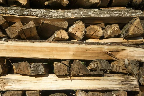 Stacked Firewood Logs Baden Wrttemberg Germany Europe — Stockfoto