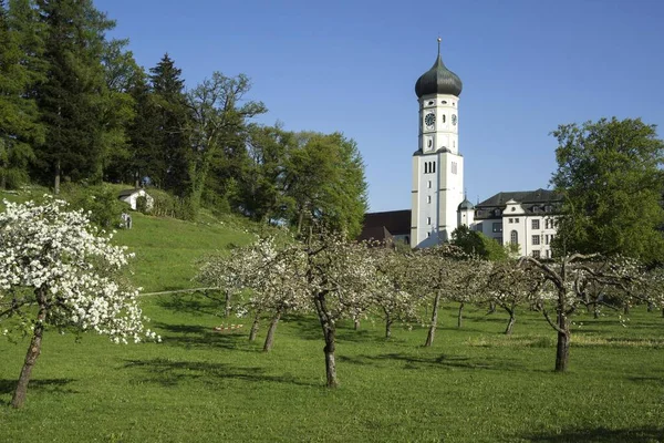 Monastery Church Monastery Ursberg Franciscan Joseph Congregation Ursberg Bavaria Germany — Stockfoto