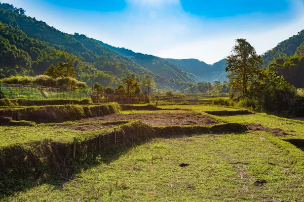 Harvested Rice Paddies Backlit Luang Namtha Laos Asia — Stock Photo, Image