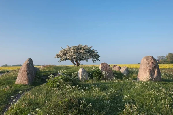 Dolmen Del Neolítico Carretilla Larga Con Cámaras Funerarias Dos Grandes — Foto de Stock