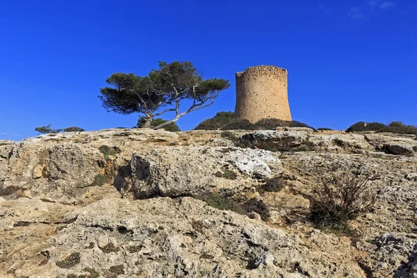 Башня Кала Torre Cala Майорка Балеарские Острова Испания Европа — стоковое фото