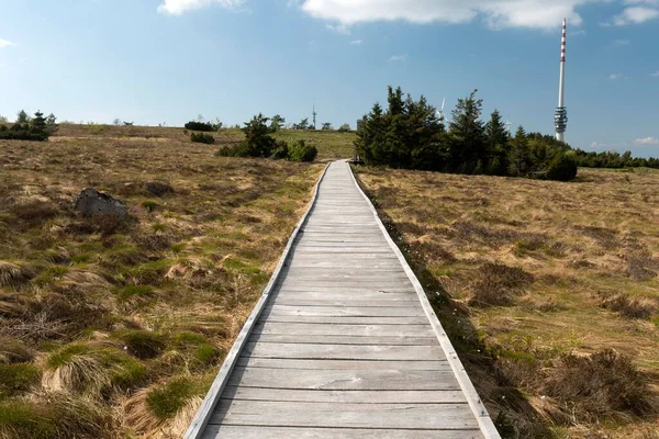 Stig Ruthard Hambrecht Weg Ruthard Hambrecht Hornisgrinde Schwarzwalds Nationalpark Baden — Stockfoto