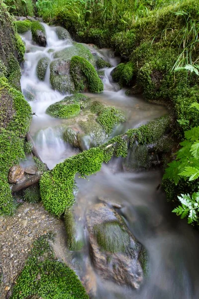 Stream Valle Dello Stubai Posteriore Tirolo Austria Europa — Foto Stock