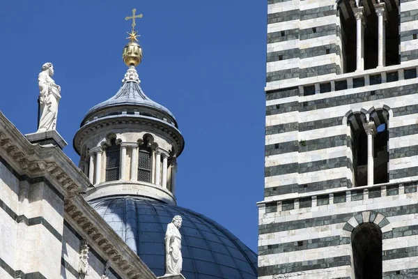 Siena Cathedral Cattedrale Santa Maria Assunta Zbliżenie Siena Prowincja Siena — Zdjęcie stockowe