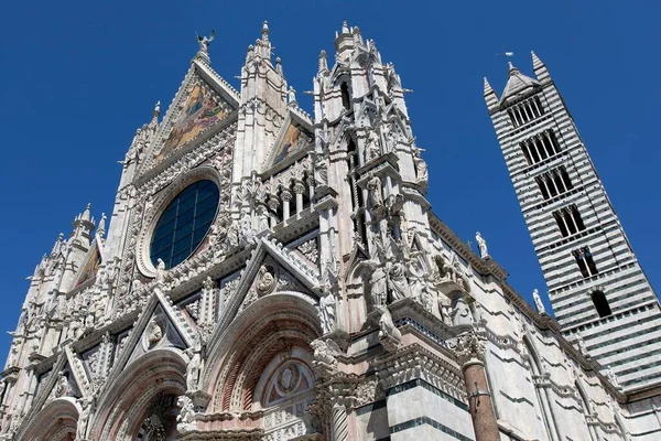 Siena Cathedral Cattedrale Santa Maria Assunta Klocktorn Siena Provinsen Siena — Stockfoto