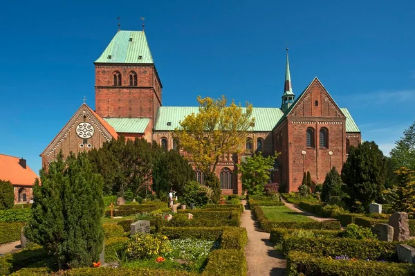Ratzeburg Katedrali Yüzyıldan Kalma Romanesk Tuğla Mimarisi Önündeki Mezarlık Ratzeburg — Stok fotoğraf