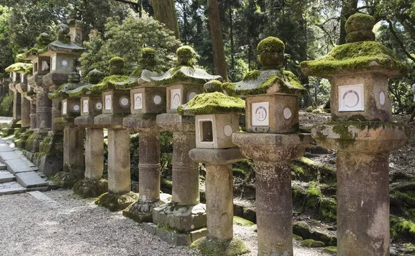 Toro Lanternas Pedra Longo Caminho Para Kasuga Taisha Santuário Nara — Fotografia de Stock