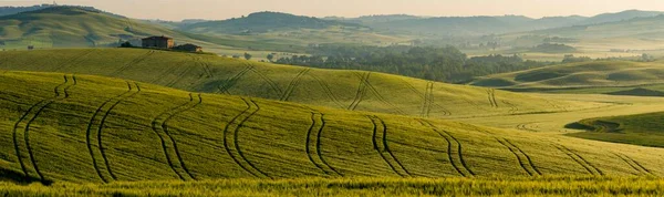 Toscana Landskap Med Bondgård Kulle Och Majsfält Morgonljuset San Quirico — Stockfoto