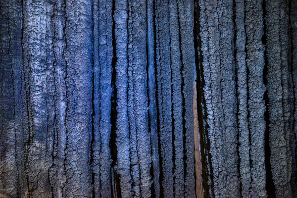 Illuminated Cave Steps Stalactites Thien Cave Paradise Cave Paradise Cave — Stock Photo, Image