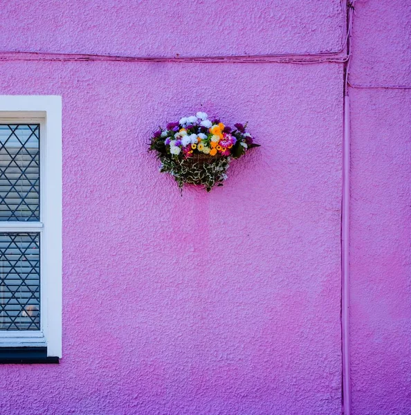 Λουλούδια Που Κρέμονται Ροζ Πρόσοψη Σπιτιού Portree Isle Skye Highland — Φωτογραφία Αρχείου