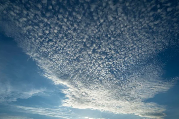 Pequeñas Nubes Cirrocumulus Cielo Arenque Por Costa Atlántica Vandee Francia —  Fotos de Stock