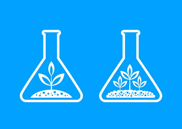 Laboratuvar cam bitki — Stok Vektör