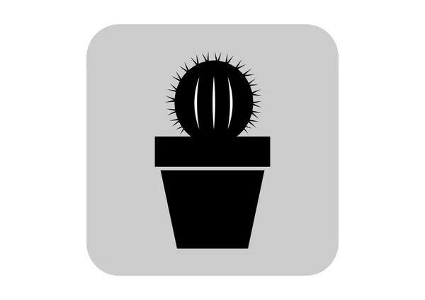 Cactus vector icon — Stock Vector