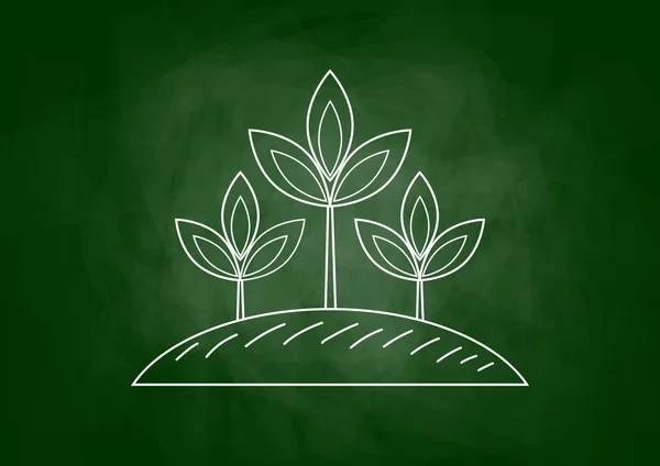 Tekening van de plant op blackboard — Stockvector