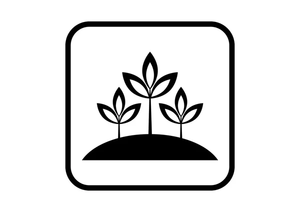 Plant vector pictogram op witte achtergrond — Stockvector