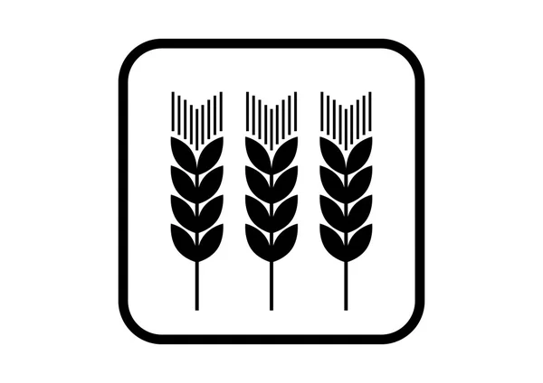 Getreidevektorsymbol auf weißem Hintergrund — Stockvektor