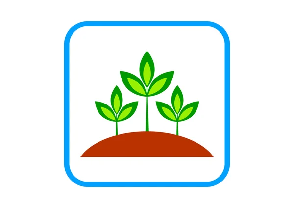 Plant vector pictogram op witte achtergrond — Stockvector