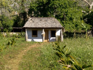 Küçük ev üç garip Mayo ile inşa.