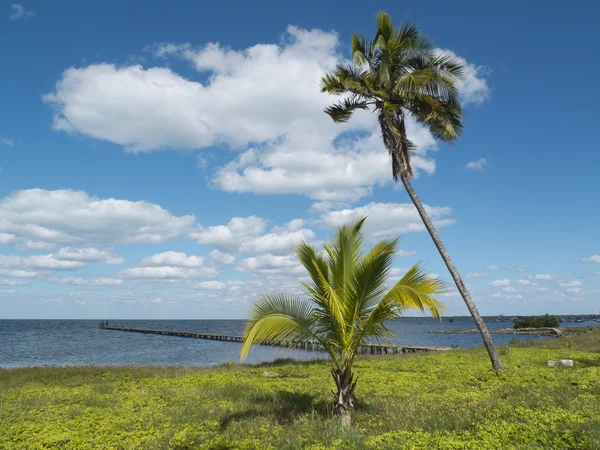 Tropické přímořské krajiny na Kubě. — Stock fotografie