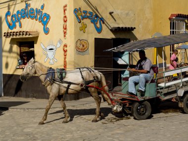 Eski taşıma yolcu taşımacılığı için bir at tarafından çekti.