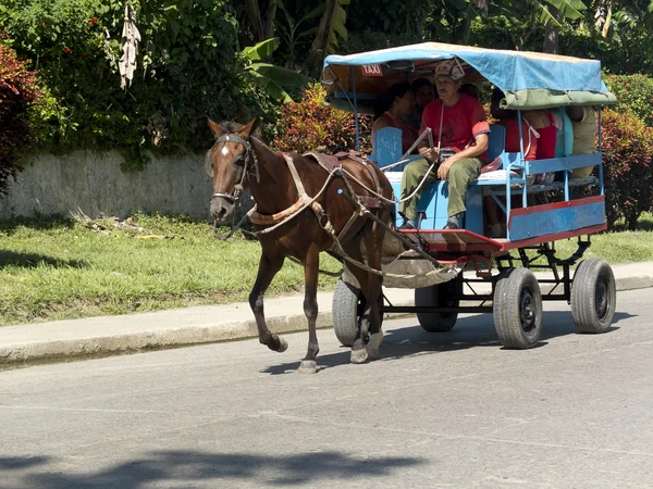 Carrozza rustica trainata da un cavallo . — Foto Stock