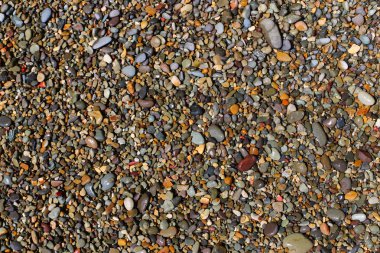 Wet Beach Pebble