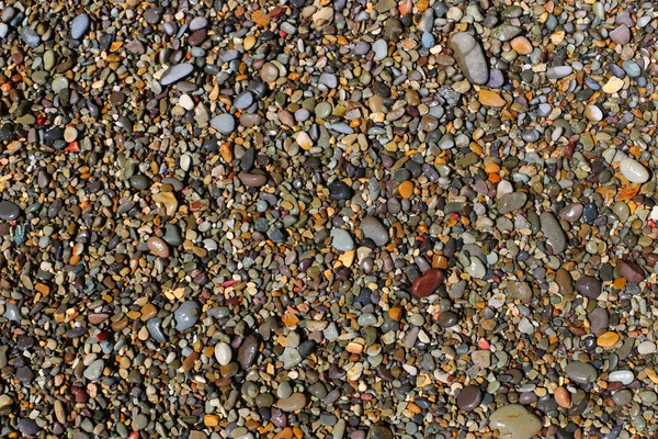 Feuchter Kieselstrand — Stockfoto