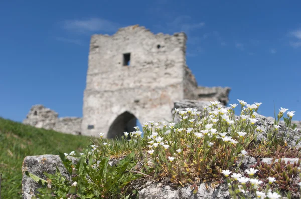 오래 된 요새 유적 — 스톡 사진