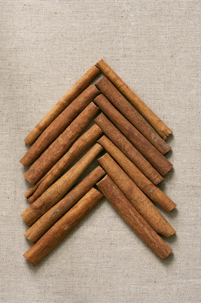 Christmas tree made of cinnamon sticks — Stock Photo, Image