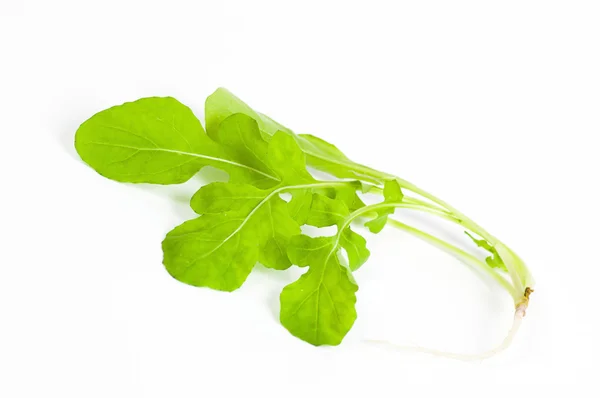 Ripe organic rocket salad — Stock Photo, Image