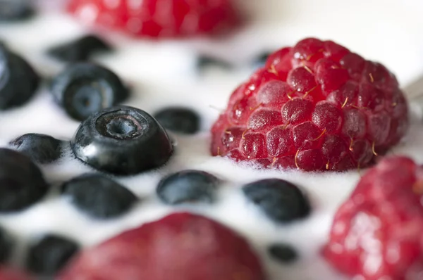 Heerlijk dessert gemaakt van yoghurt en rijp bessen close-up — Stockfoto