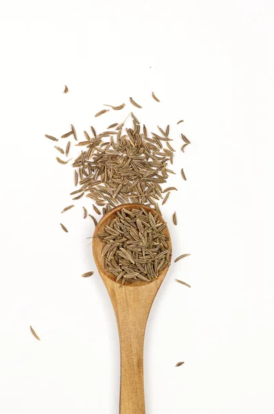 Caraway (Carum carvi) seeds — Stock Photo, Image