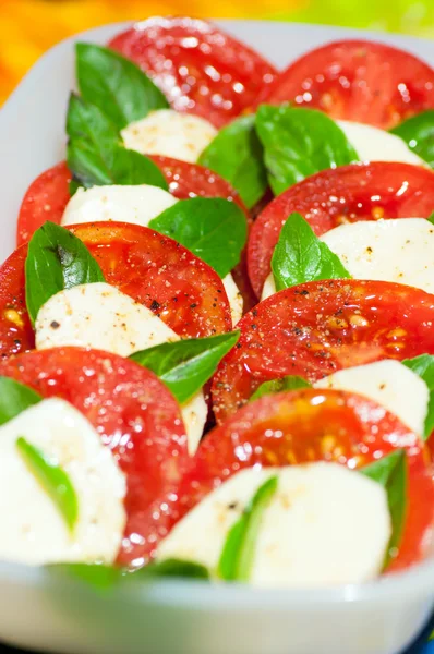 Klassischer Caprese-Salat — Stockfoto