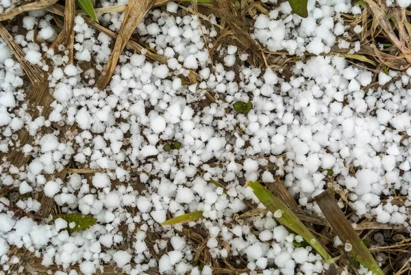 死んだ茶色の草の上の最初の雪の小さな白い雪のフレークトップビュー — ストック写真
