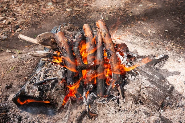 Camping Bonfire Ash Sunlight Close View — Stock Photo, Image