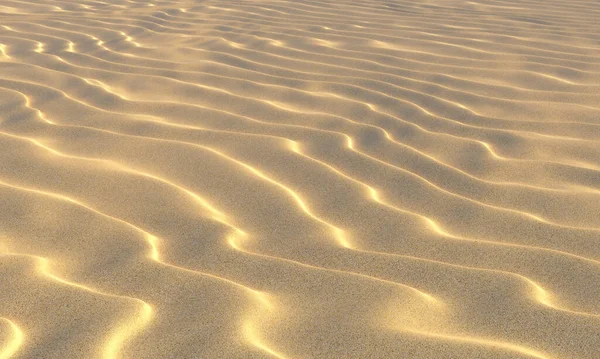 Giallo Sabbia Asciutta Sulla Spiaggia Con Onde Sotto Estate Luminosa — Foto Stock