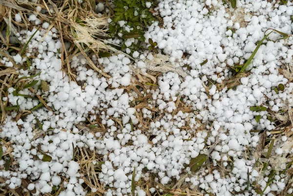 茶色の死んだ草の上に最初の雪の小さな白い雪のフレーク クローズアップトップビュー — ストック写真