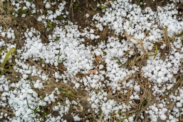 死んだ茶色の草の上の最初の雪の小さな白い雪のフレークトップビュー — ストック写真