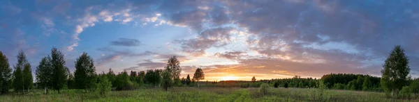 Zonsondergang Landschap Panorama Van Zomer Weide Met Groen Gras Avond — Stockfoto