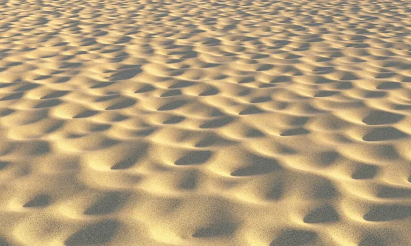 Brun Torr Sand Stranden Med Fossas Sommaren Ljust Kväll Sol — Stockfoto