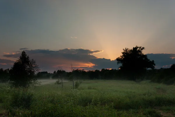 Zonsondergang over de weide onder mist — Stockfoto